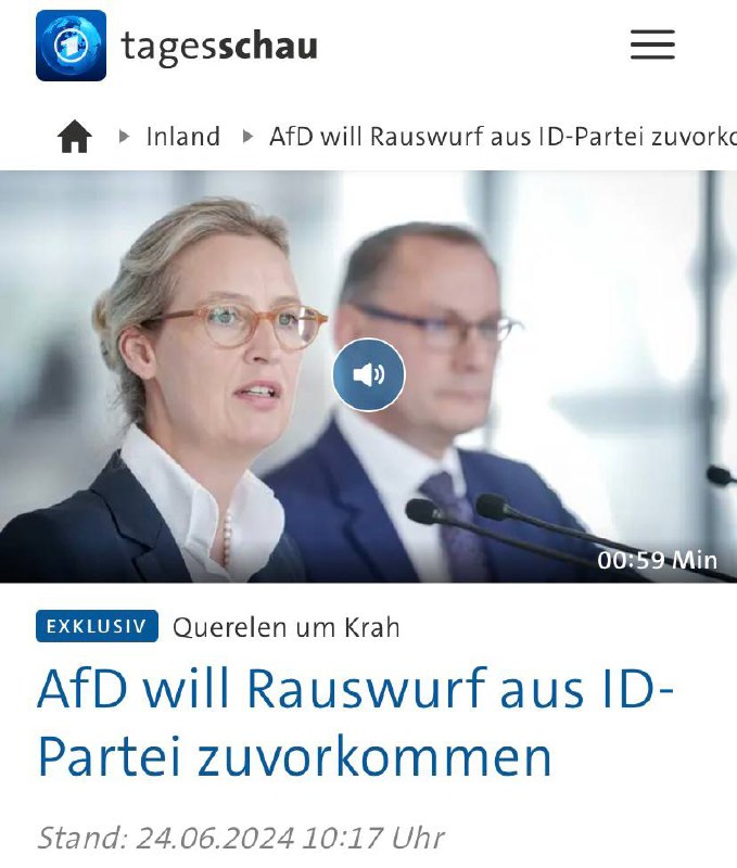 AfD will aus EU-Partei „Identität und Demokratie“ austreten Eine entsprechende E...