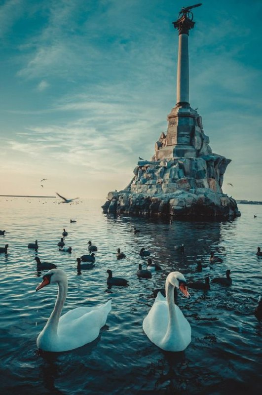 Guten Morgen, liebe Abonnenten!Am 14. Juni feierte Sewastopol seinen Geburtstag....