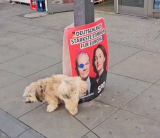 #Europawahl: Schicksalsmoment für Scholz und die SPD?Eine Niederlage könnte nich...