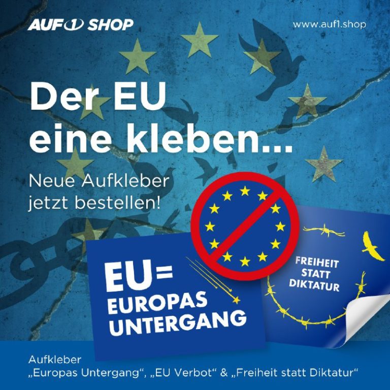 Am 9. Juni findet in Deutschland und Österreich die Europawahl statt. Noch nie w...