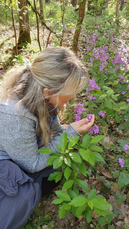 Familienkanal einer erwachten Lehrerinalte und neue Bildungsstrukturen, Zeitgesc...