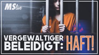  MSLive 232 - Rassismus gegen Weiße & Chaos in österreichischer Regierung Es...