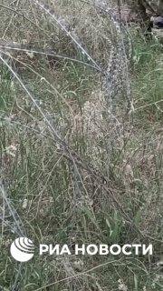 Die ersten Opfer durch die Minenlegung der ukrainischen Grenzschutzbeamten an de...