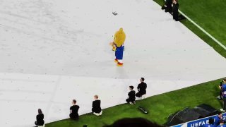 YouTuber schummelte sich als Maskottchen aufs EM-SpielfeldDer YouTuber Marvin Wi...