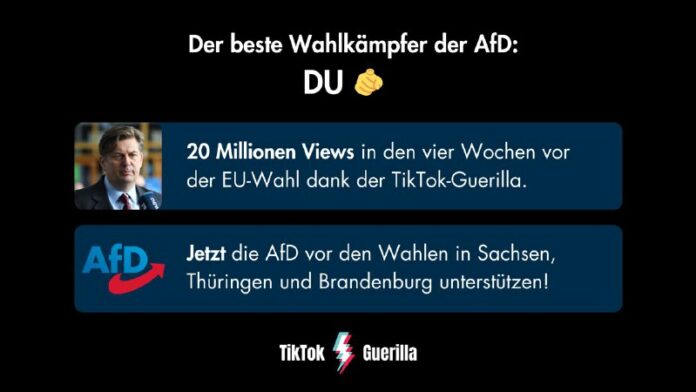 SOMMER-OFFENSIVE: Die AfD braucht Deine Mithilfe für den Wahlkampf In Sachsen, T...