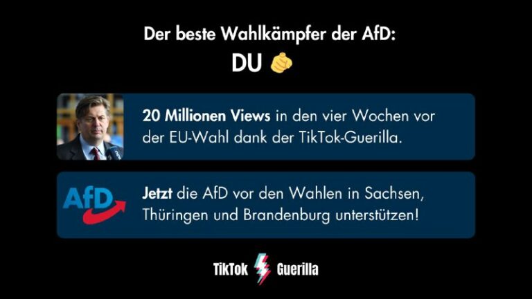 SOMMER-OFFENSIVE: Die AfD braucht Deine Mithilfe für den Wahlkampf In Sachsen, T...