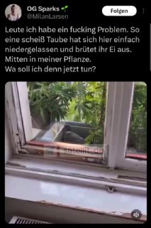 Rätsel um Cannabis Legalisierung – Lauterbach braucht Hinweis 🐦😮‍💨 #Cannabis #Legalisierung #Lauterbach