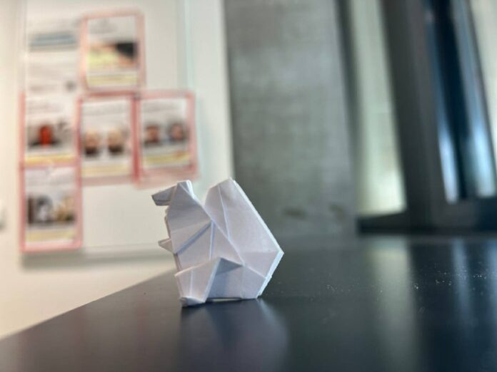  Mein Gastgeschenk an die Passauer Polizei. Ein Orgiami Eichkatzerl.  Vlog zu ge...