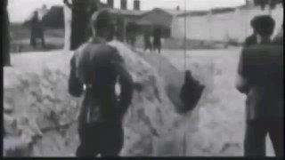  Schöne neue Welt: Eugenik, Operation Paperclip und IBM – Eine gefährliche Verga...