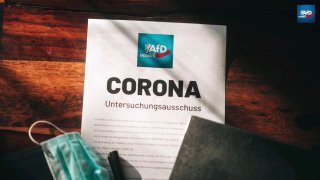  AFD Thüringen beschliesst Corona Untersuchungsausschluss. Sammelband Long/Post ...