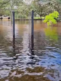 Ein Einwohner des brasilianischen Bundesstaates Mato Grosso hat einen Fischschwa…