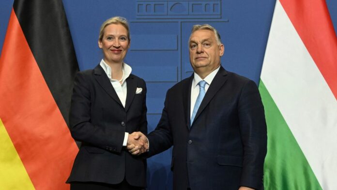 Alles, wofür die AfD heute steht, wäre gut für Ungarn admin