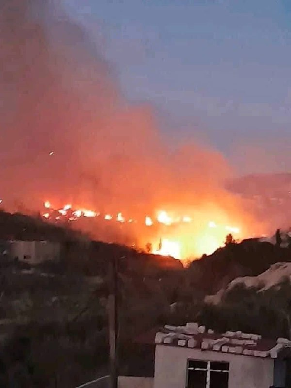 Ein Verbrechen von unvorstellbarer Dimension, durch Verstand nicht zu begreifen....