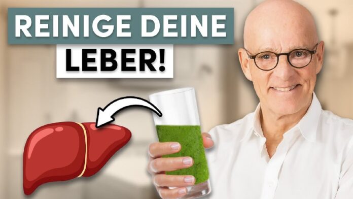 Ihre Leber entscheidet: Gesund ins neue Jahr oder auf der Bremse bleiben – hande...