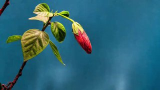  Ist das Leben der Wille zur Macht?@waswenn8...