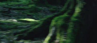  Die Kawasaki Heavy Industries Gruppe hat gerade CORLEO vorgestelltCorleo ist Ka...