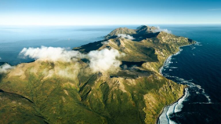 Guten Morgen, liebe Abonnenten!— Unter allen Komandorski-Inseln gilt Medny als d...