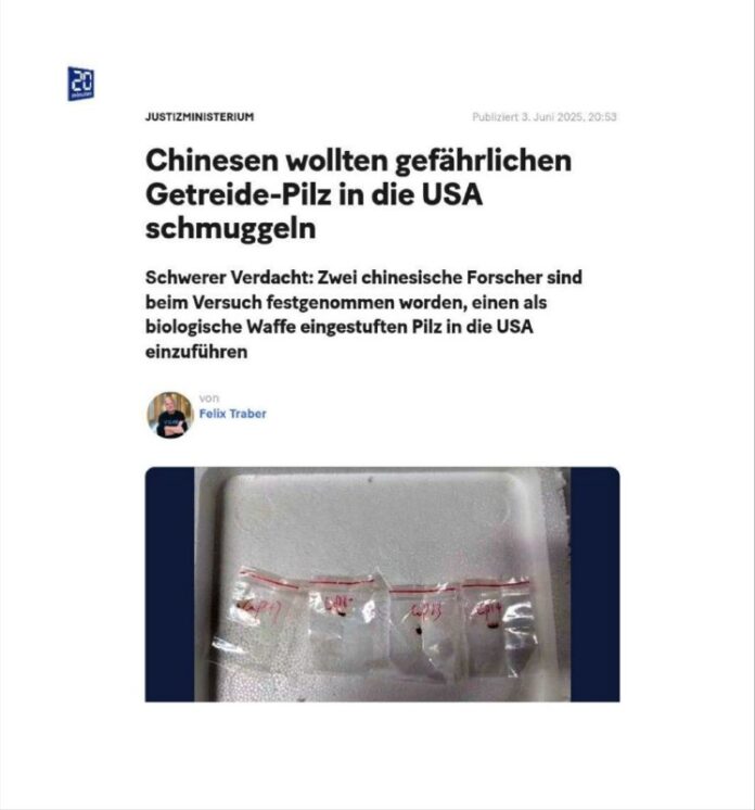  Chinesen wollten gefährlichen Getreide-Pilz in die USA schmuggelnDie beiden chi...