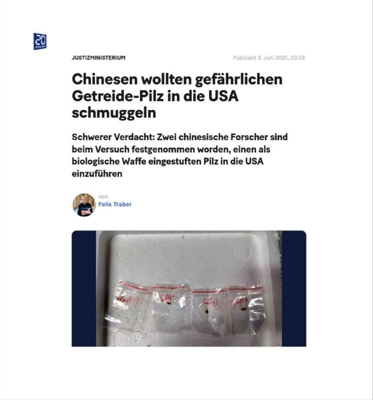  Chinesen wollten gefährlichen Getreide-Pilz in die USA schmuggelnDie beiden chi...