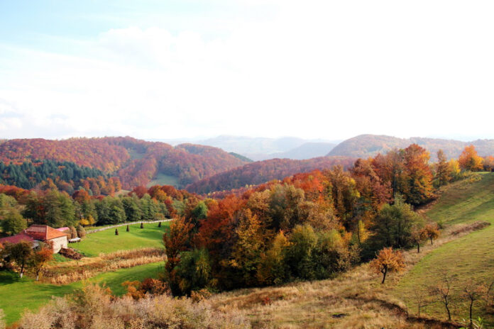 Herbstwende von Sándor Petőfi admin